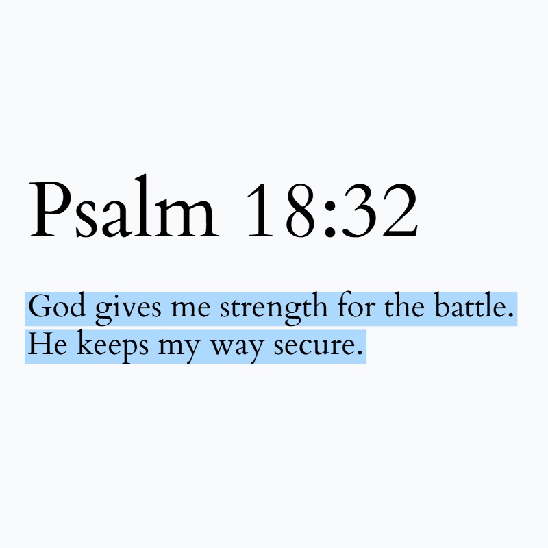 Holy Bible tweet media