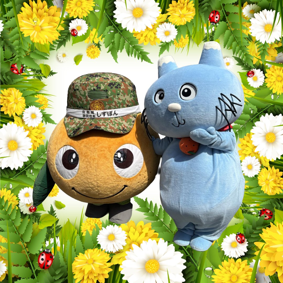 しずぽん！元気なびか～？(。´・ω・)? この前、散歩してたら、てんとう