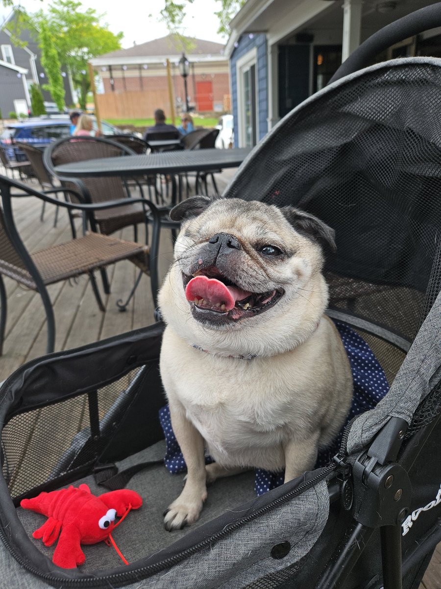 Guppy ' s mom tweet media