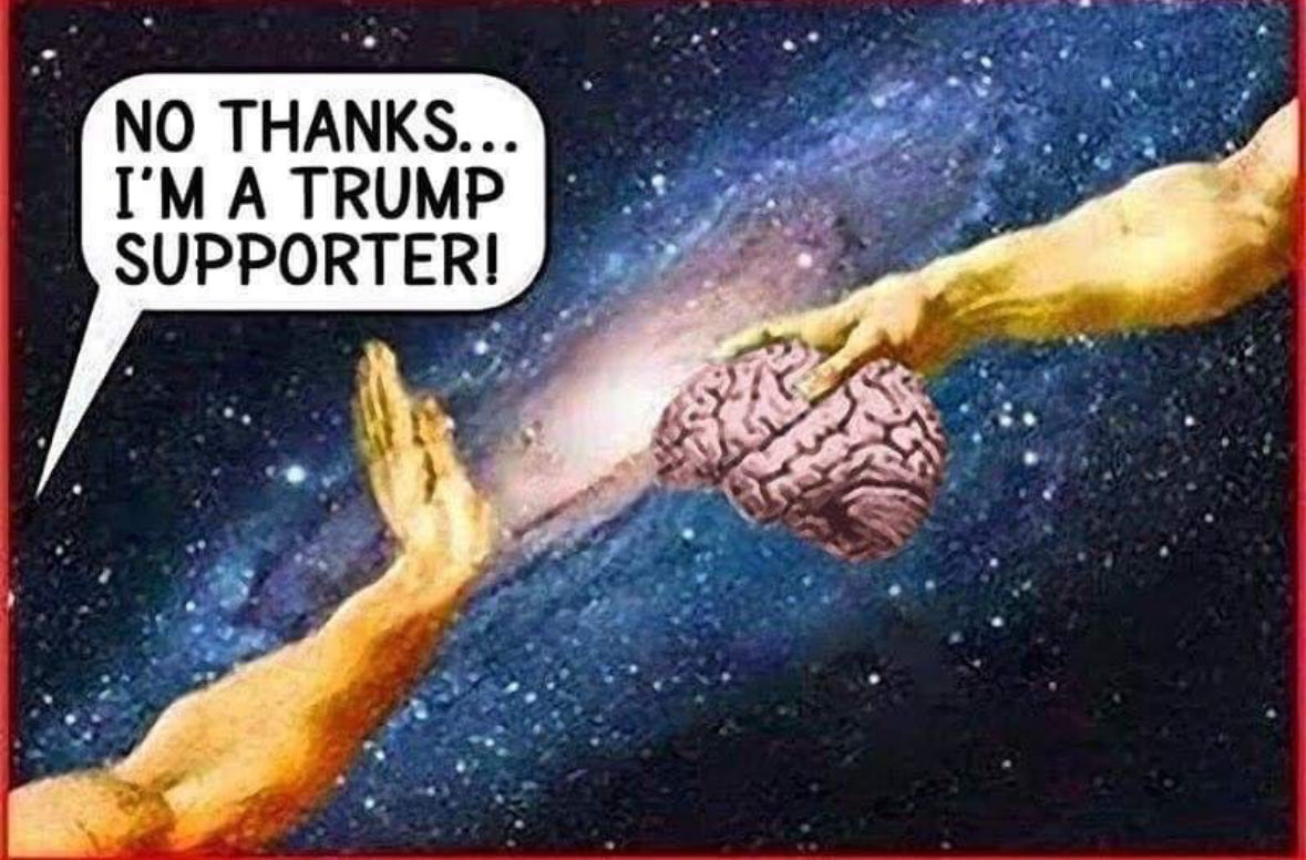 NeverTrumper tweet media