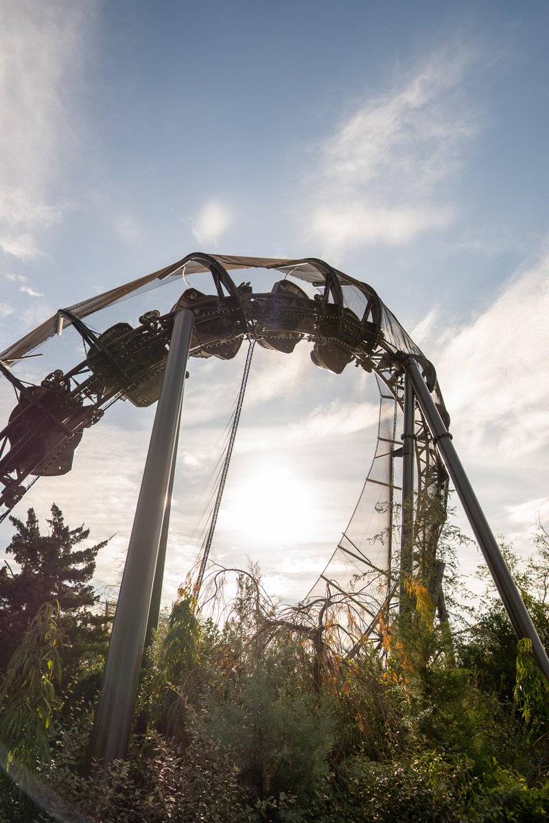 Universal Orlando Resort tweet media