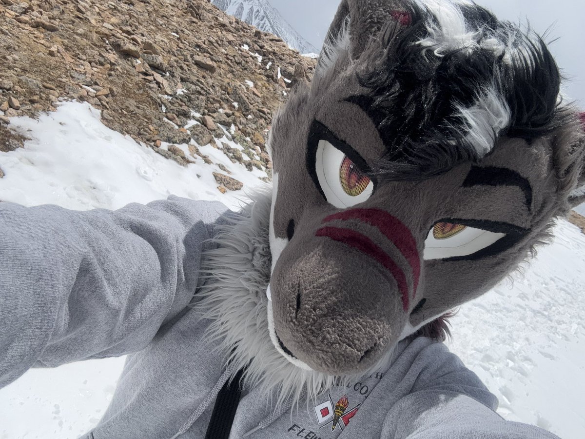 Kuba.shark 🔜 TFF, FWA,Megaplex tweet media