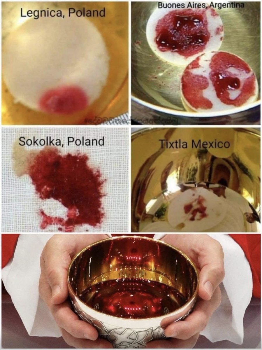 UcheMaryOkoli's tweet photo. The Host bleeds because it is Jesus. https://t.co/VwmOKh7JMd