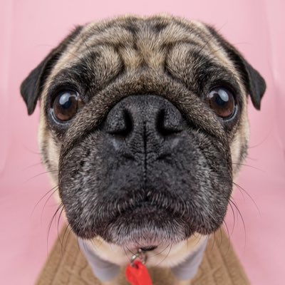 muramua4wd's tweet photo. #新しいプロフィール画像 https://t.co/UQmaZMH9s6