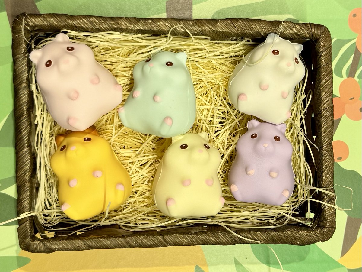MOOOSH SQUISHY 原宿［ブルーム公式 スクイーズ専門店