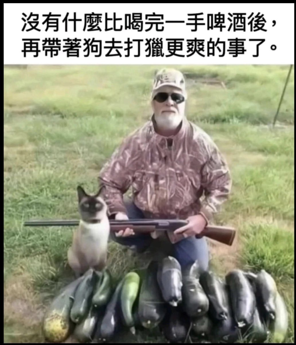 禿道道🐟 tweet media
