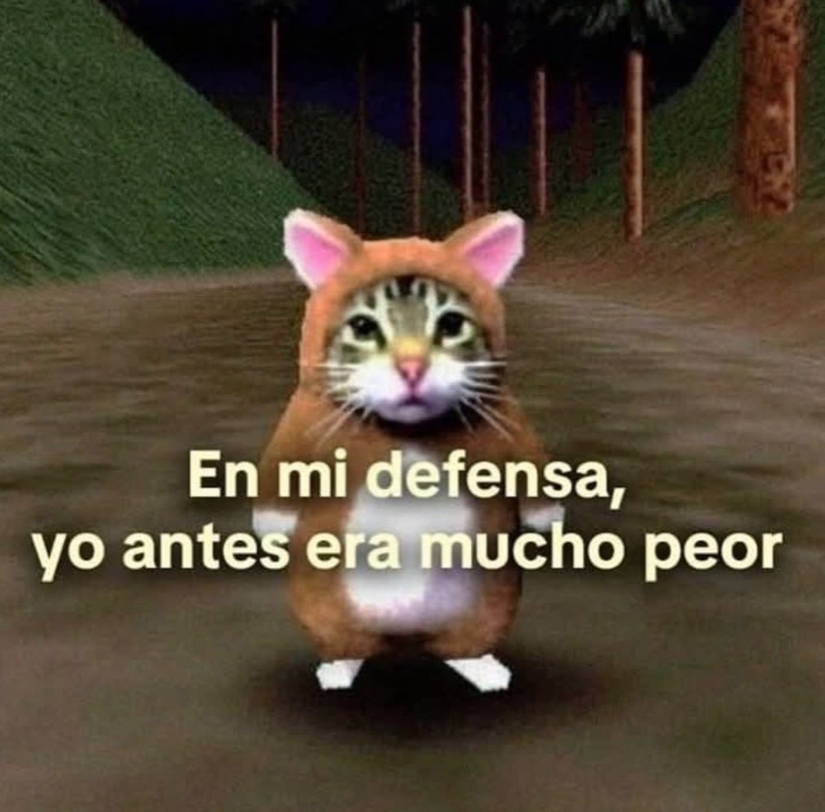 gatos fazendo gatices tweet media
