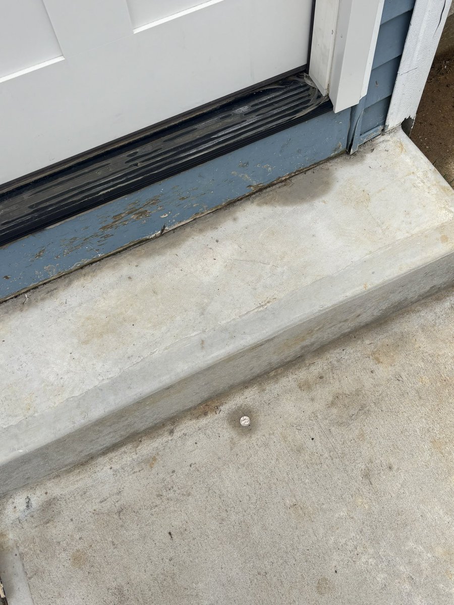 Red Meatball tweet media