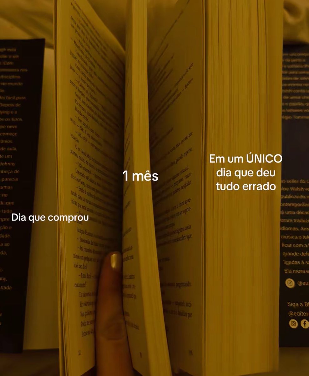 sincera tweet media