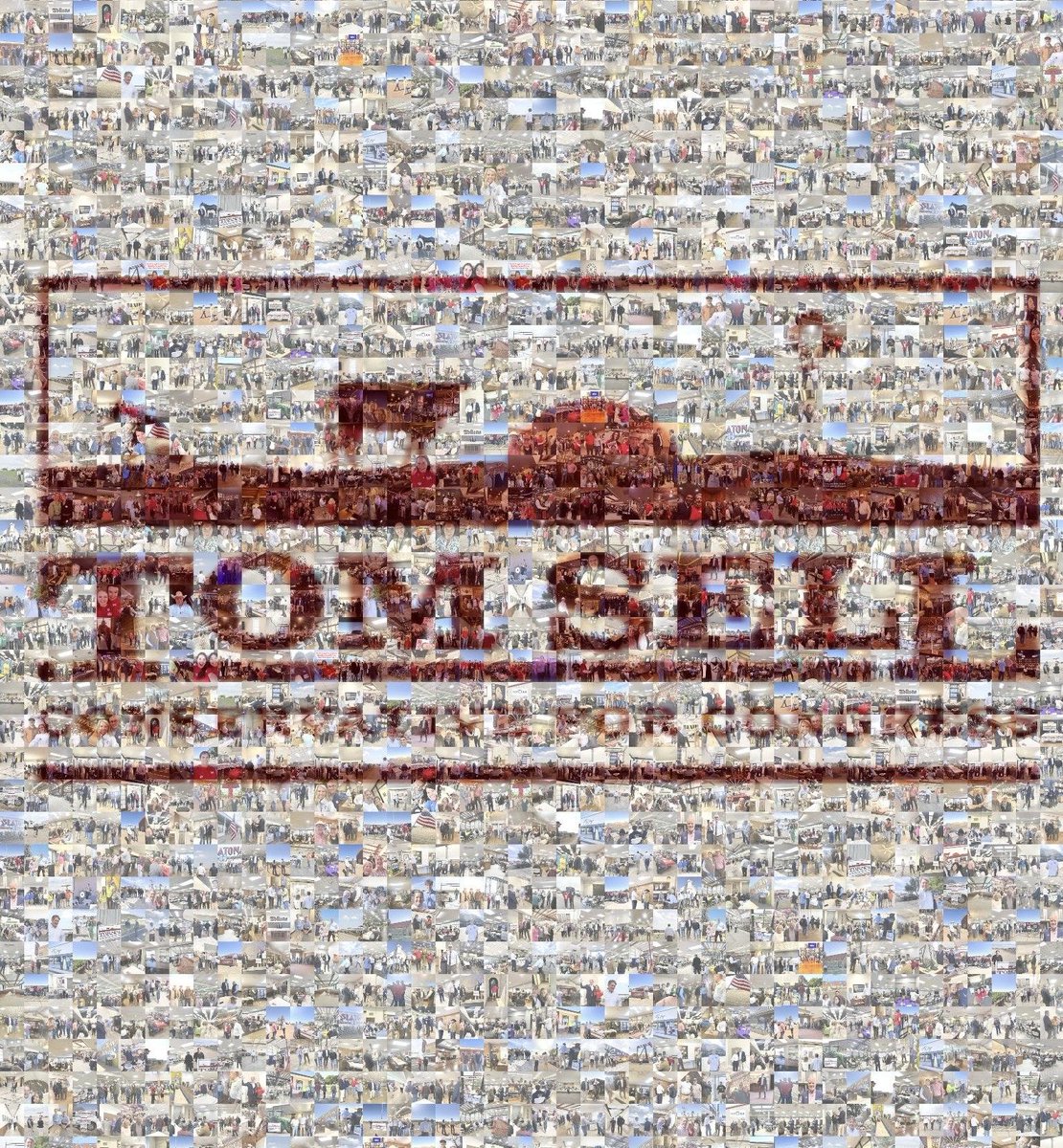 Tom Sell tweet media