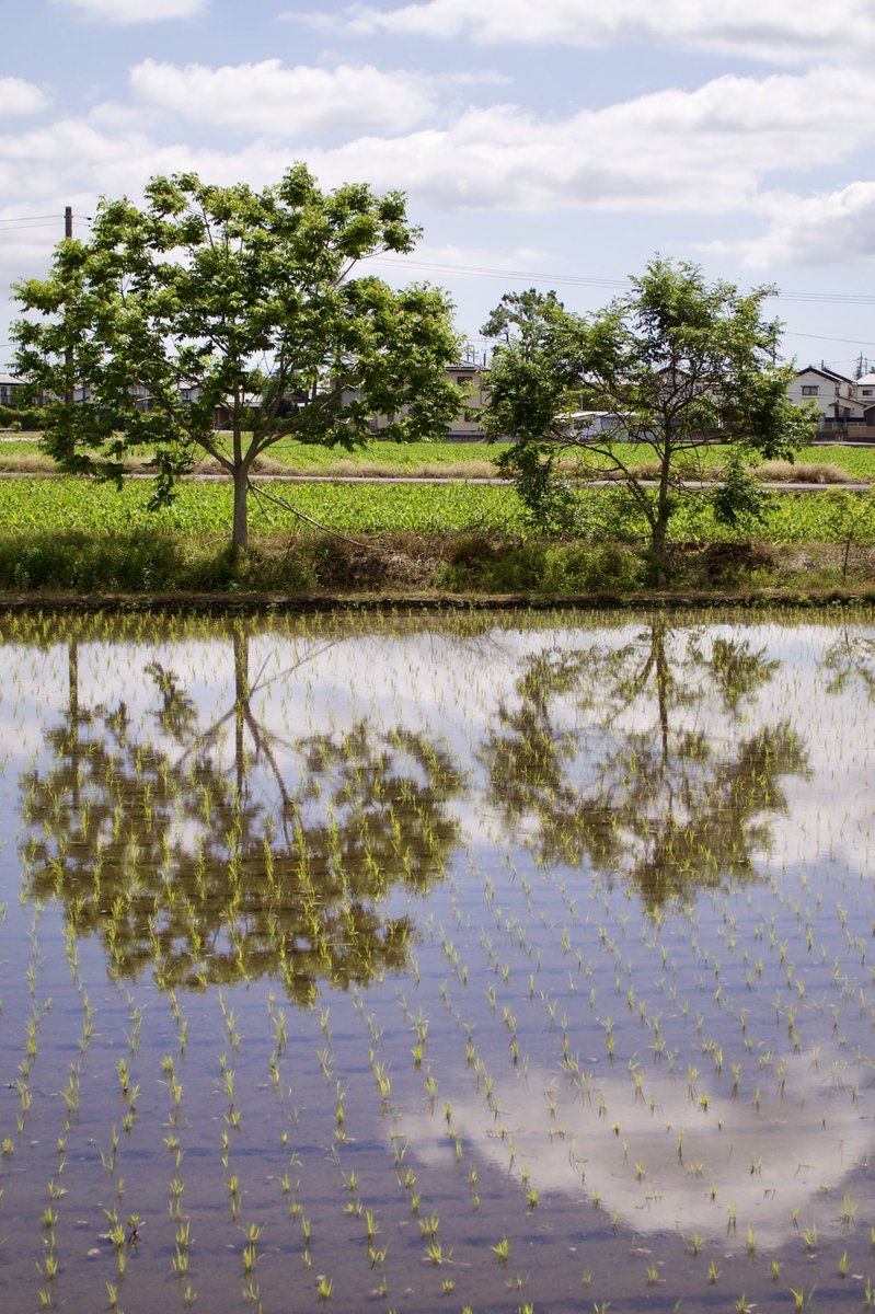 takuya_akiyama's tweet photo. 2026/05/25 #お散歩写真
OLYMPUS E-PL2/SIGMA 30mm F2.8 DN
#OLYMPUS #EPL2 #SIGMA https://t.co/hL3CVwlx4q