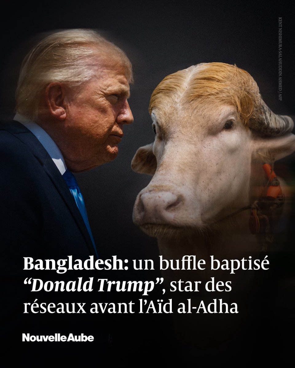 H A Billal Hossain tweet media