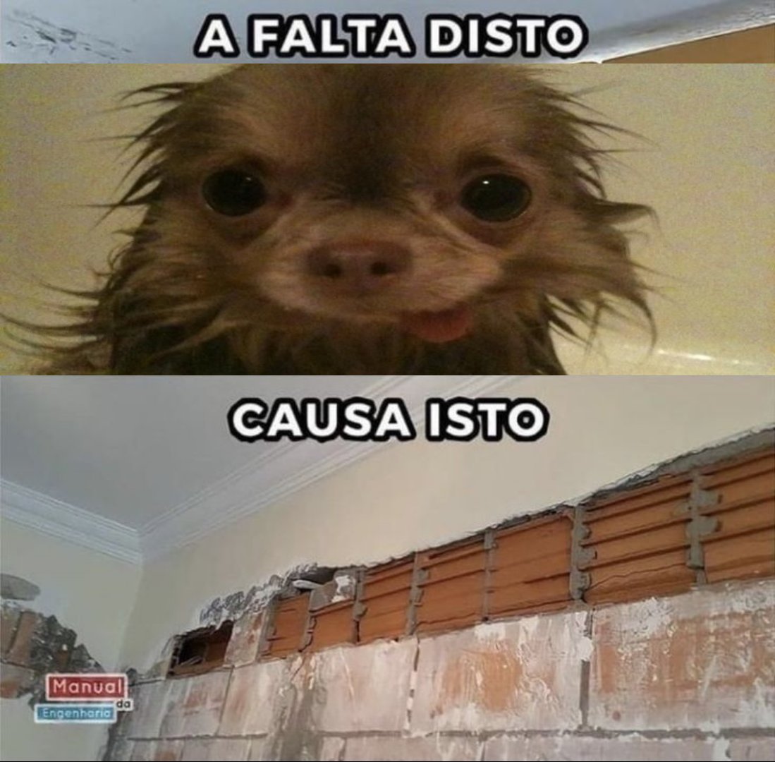 tungstenilson bitoquinha tweet media