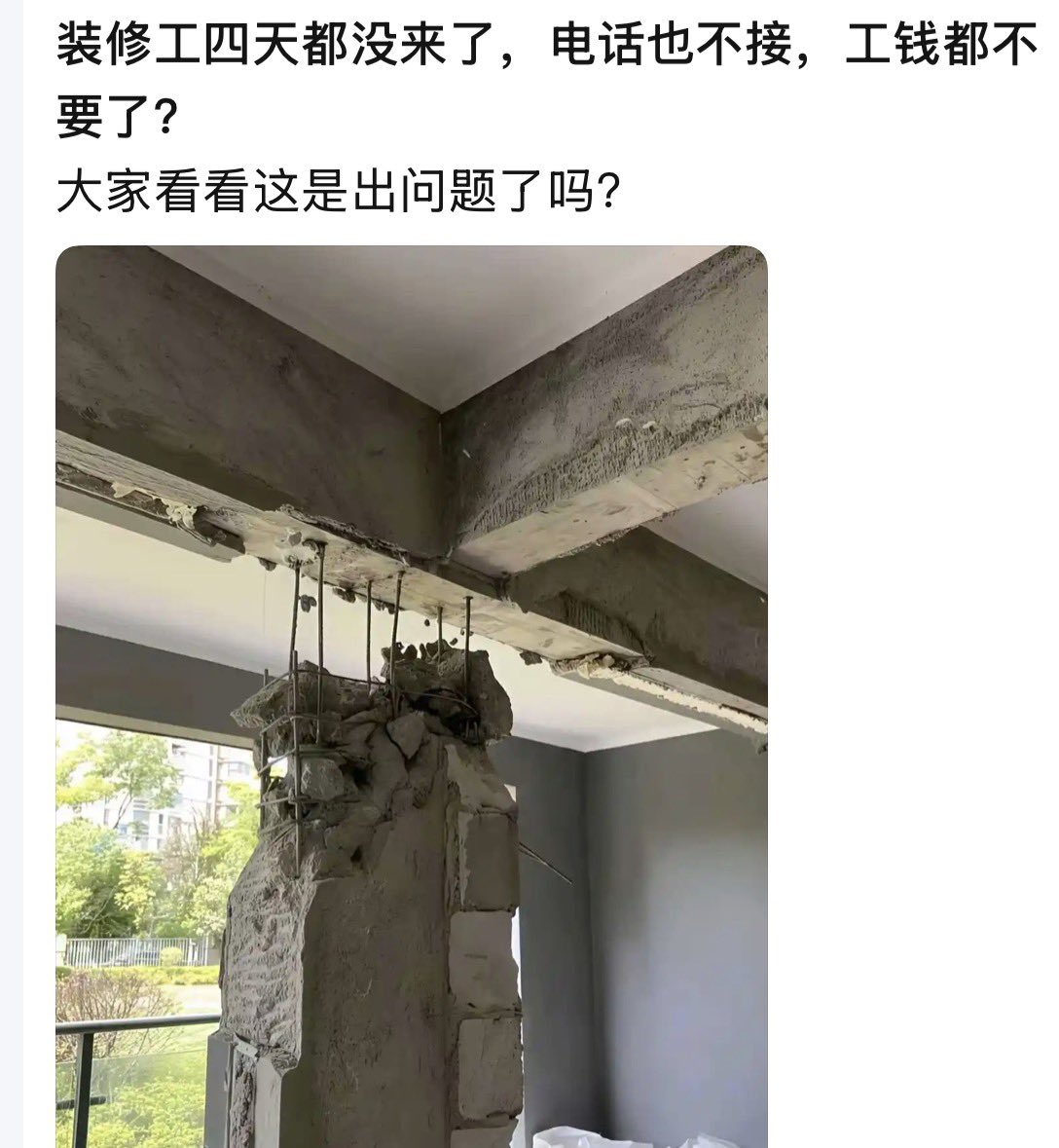 翅翅膀喵 tweet media