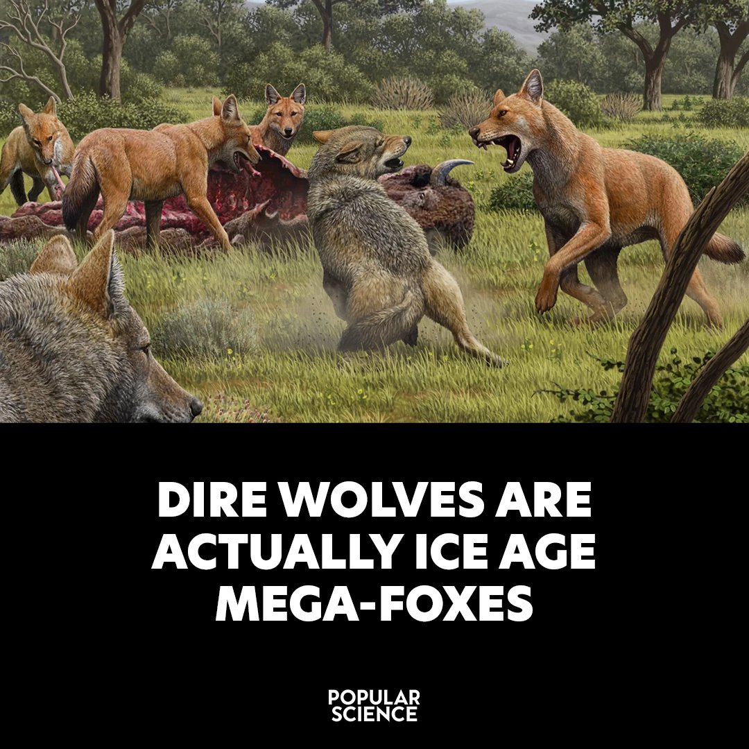 Popular Science tweet media