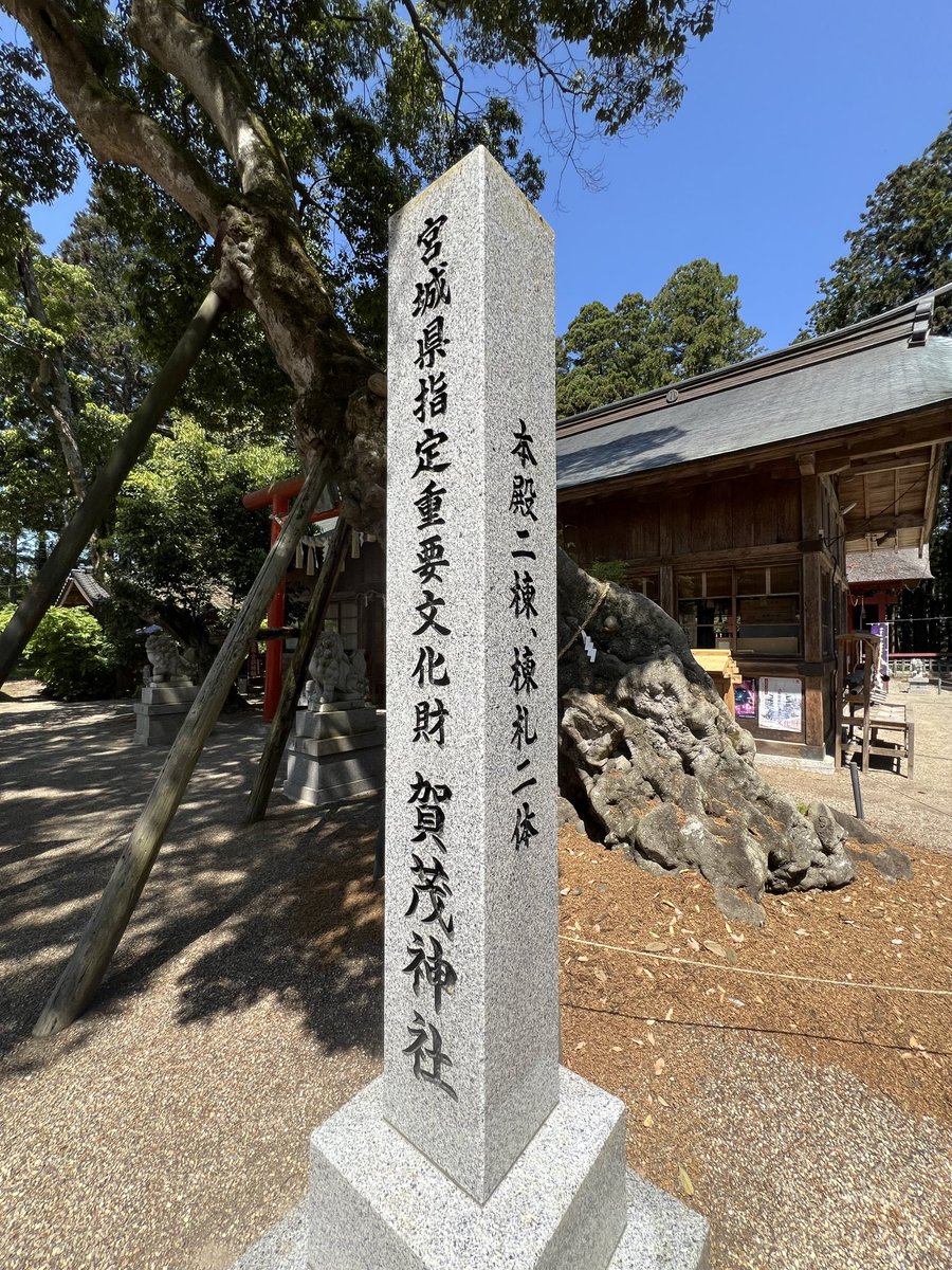 hitaguman's tweet photo. ここ２〜３日寒さにまいった

今日は夏日に近い気温に…
過ごしやすいです。
老人の身体には寒暖差は
しんどいね。
賀茂神社の清掃時に
久しぶりに中学同級生
伊藤正巳と奥方が参拝に…
この暖かさに
鶯谷、時鳥の声が聞こえてくるし、
雉が元気に鳴いてます。 https://t.co/4nYquou6Jw