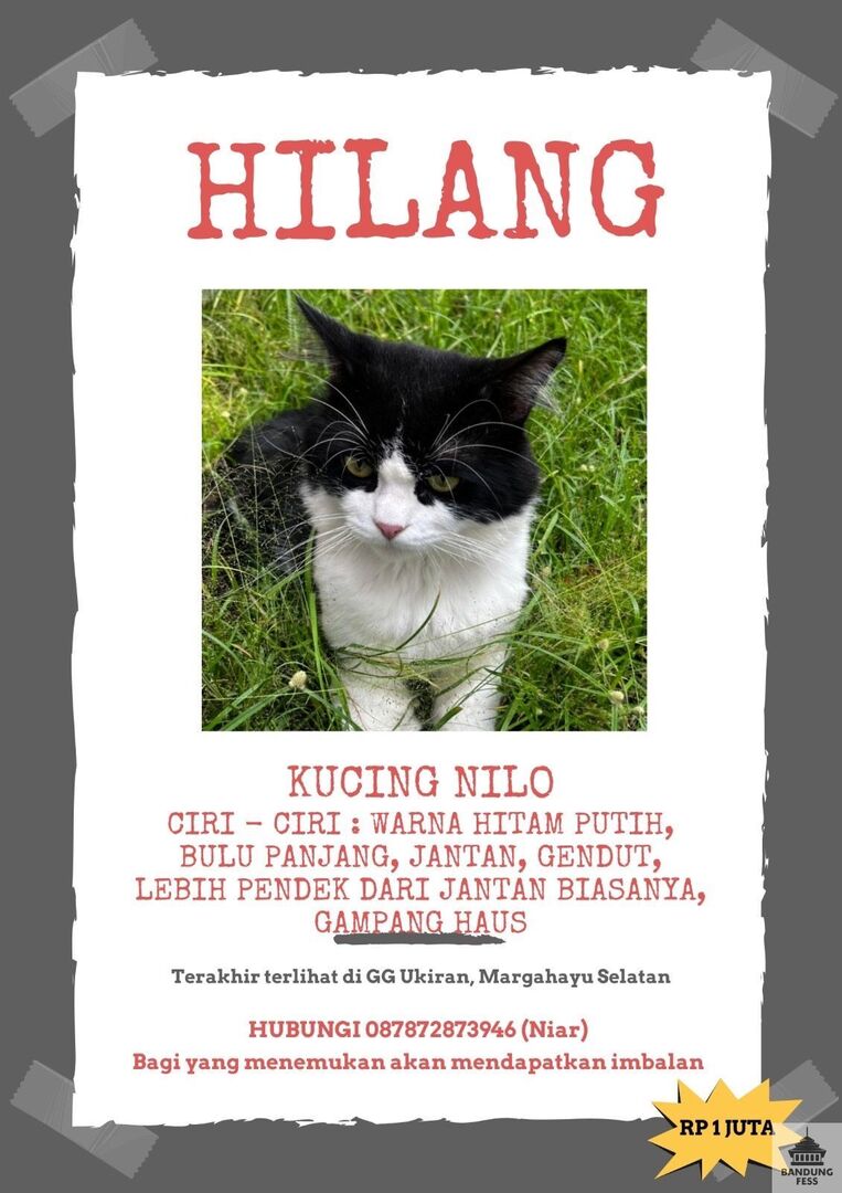 BANDUNG FESS | Kirim menfess cek 📌 tweet media