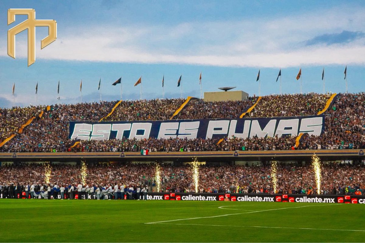 Análisis Puma tweet media