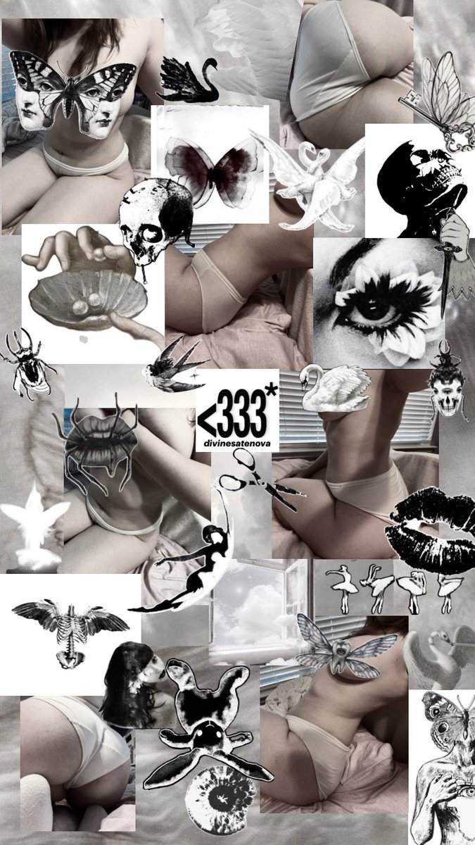 meow ⋆˚꩜｡ tweet media