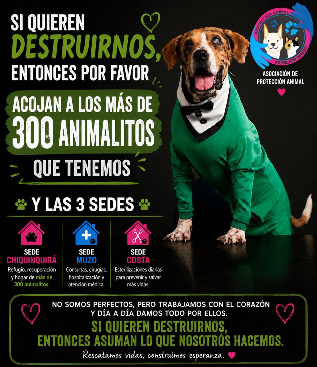 Asociacion de Protección Animal Mi Mejor Amigo tweet media