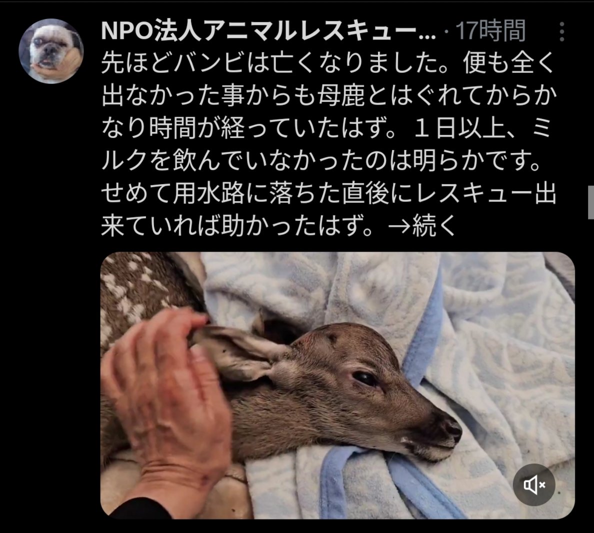 あーぁ tweet media