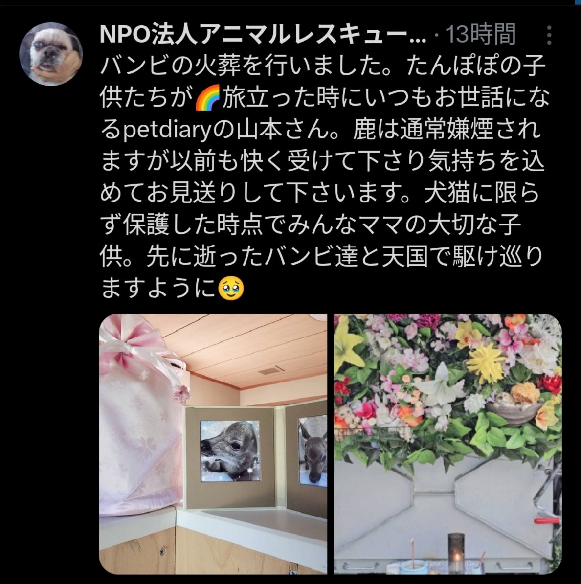 あーぁ tweet media