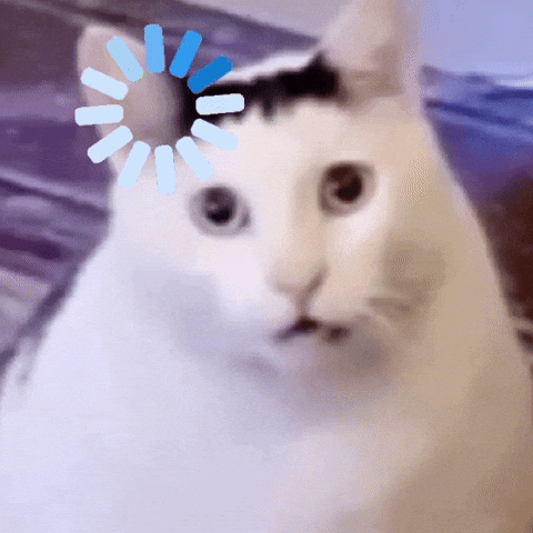 minubear's tweet photo. me 90% of the time https://t.co/ydX7L69rpI