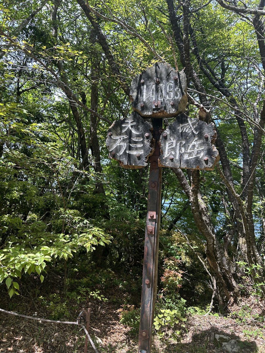 hide37811's tweet photo. 雨の合間に静岡の天城山に登山
富士山あり、苔あり、岩場ありでイージー登山でしたが楽しめました
と思ったら下りは前半急斜面続きで足痛い

#天城山　#登山　#静岡 https://t.co/sxf7ZFgtKh