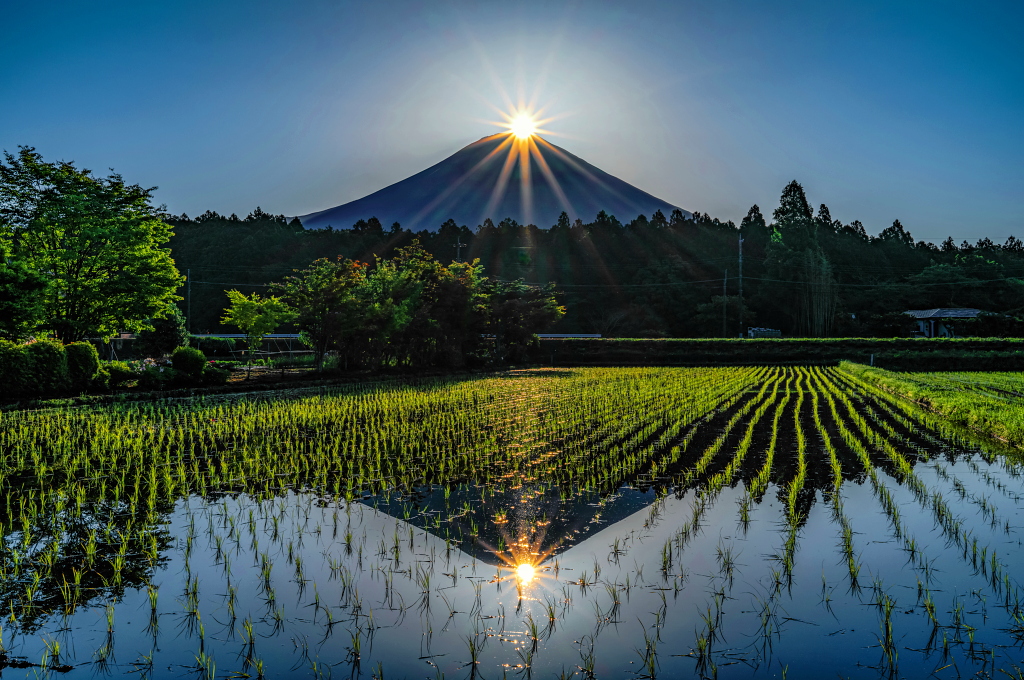 Taitan tweet media