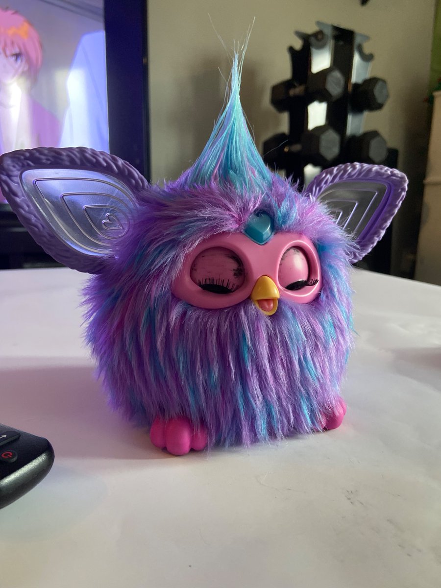 DigiBaby_Addict's tweet photo. I found an aurora borealis furby for $3.99 at value village today. He needed a good cleaning but is in great condition otherwise. 

Not a huge furby collector but they seem to be popping up for me. https://t.co/rzAaYRjQxY