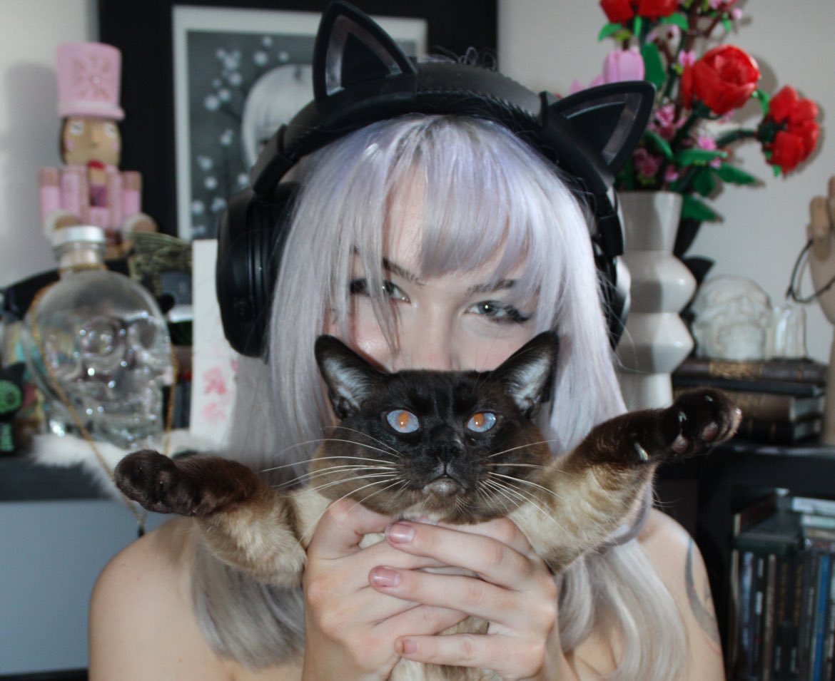 Bunnyyyy007's tweet photo. My cat is always jumping on me while I’m gaming 
#onlyfans #contentcreator #blonde #cosplayer #gamergirl #animegirl #cute #pretty #model #onlyfansgirl #noAI #authentic #nature https://t.co/cESdd6k2C4