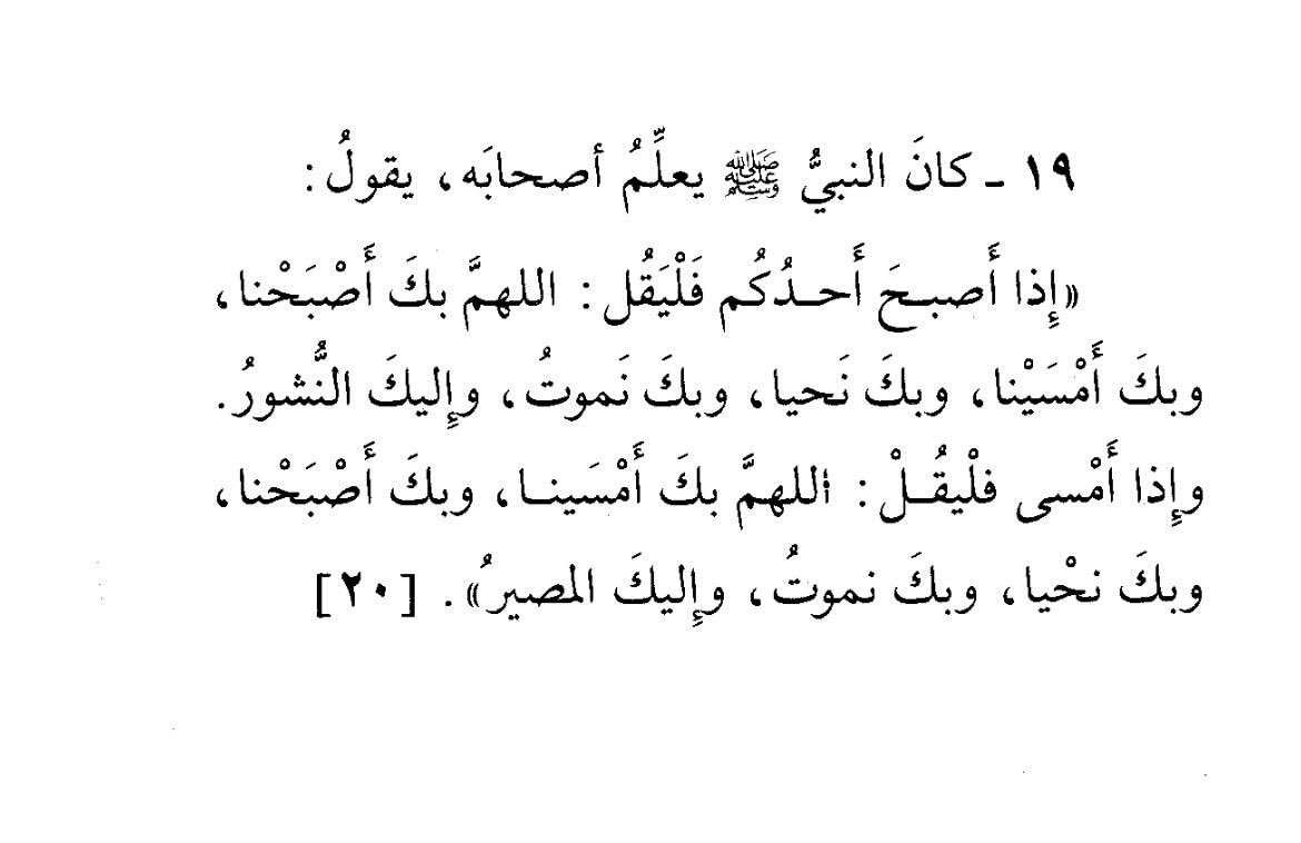 ظِلّ. tweet media