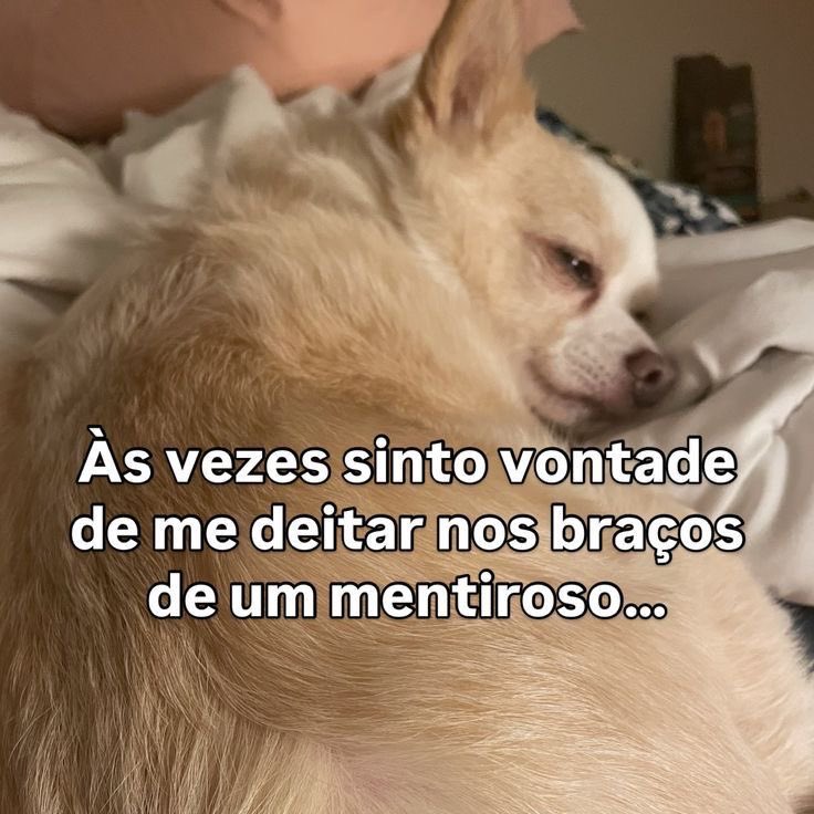 paginalixo1's tweet photo. https://t.co/eL0N90FlQY