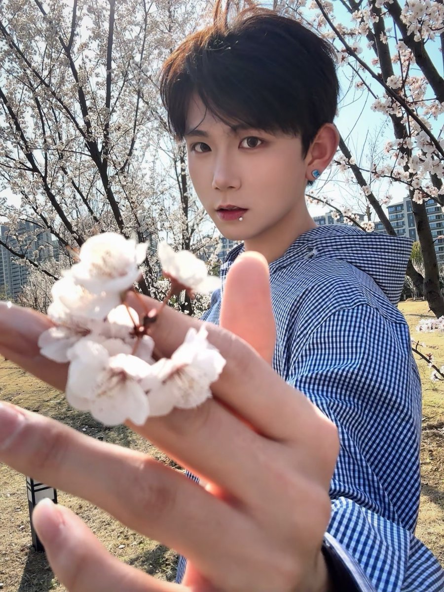 苹果树 tweet media