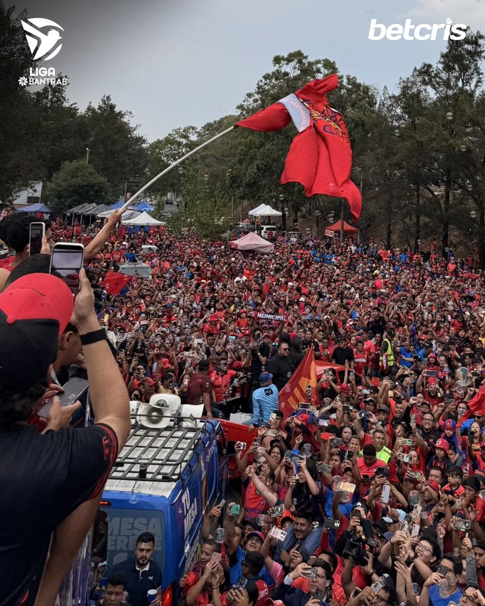 Liga Bantrab tweet media