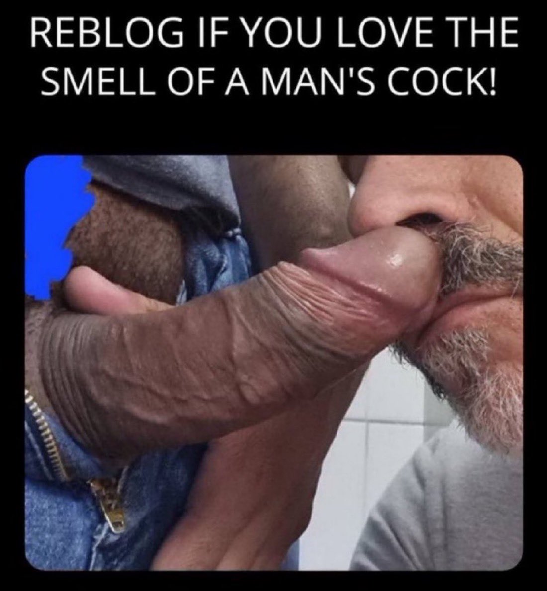 Black Daddy Dom tweet media