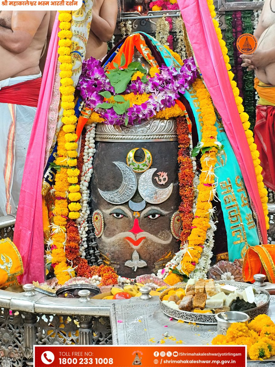 sunita shekawat tweet media