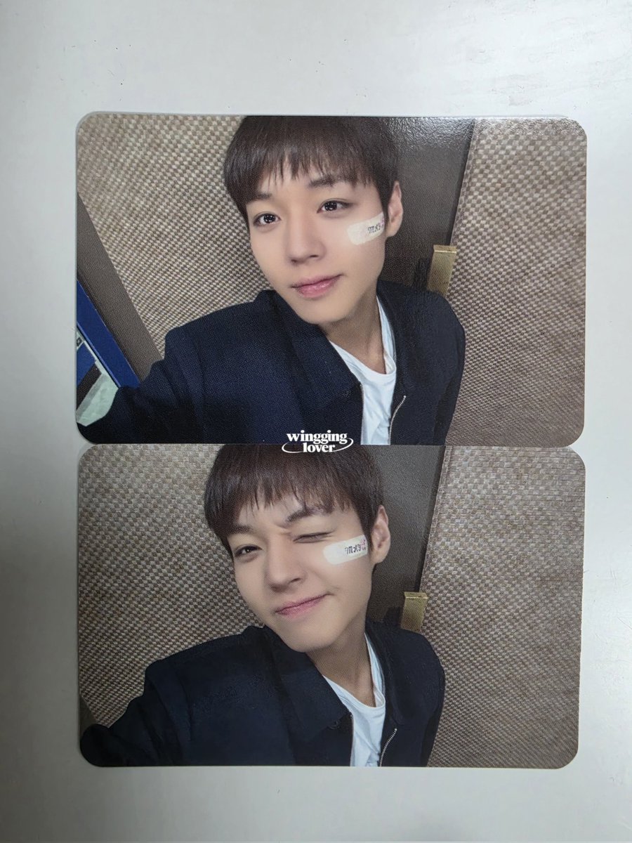 윙깅이좋아 tweet media