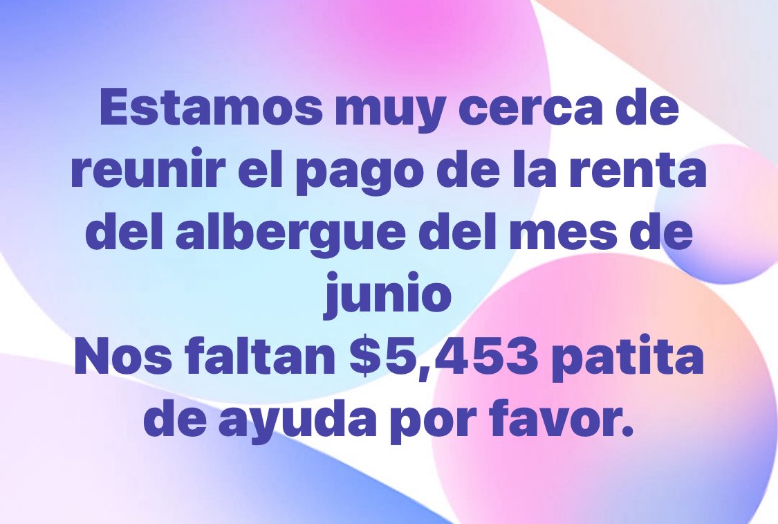 Peludos Desamparados tweet media