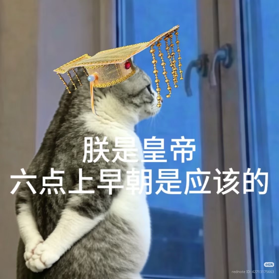 Xianyang City Bureaucrat tweet media