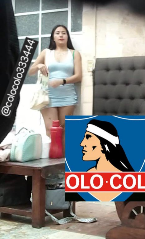 colocolito tweet media