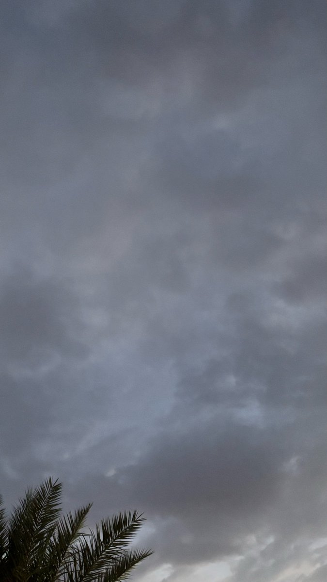 pioop_'s tweet photo. فجريات❣️ https://t.co/5192P61m5B