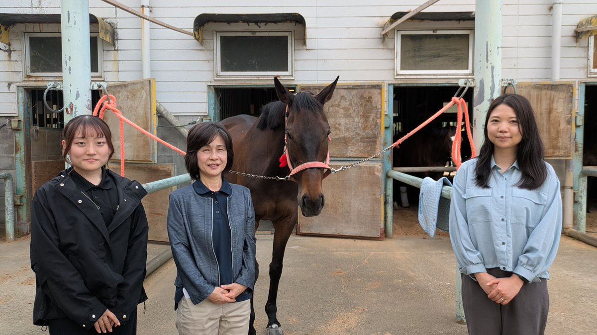 OHARA_glass_PR's tweet photo. 【産学連携の取組み🏫】
法政大学馬術部／人馬のウェルビーイング研究所を訪問しました🐎✨
引退競走馬と共に過ご���競技会に向けて活動する様子や、地域貢献活動についてお聞きしました。 https://t.co/9hGd3BomRJ