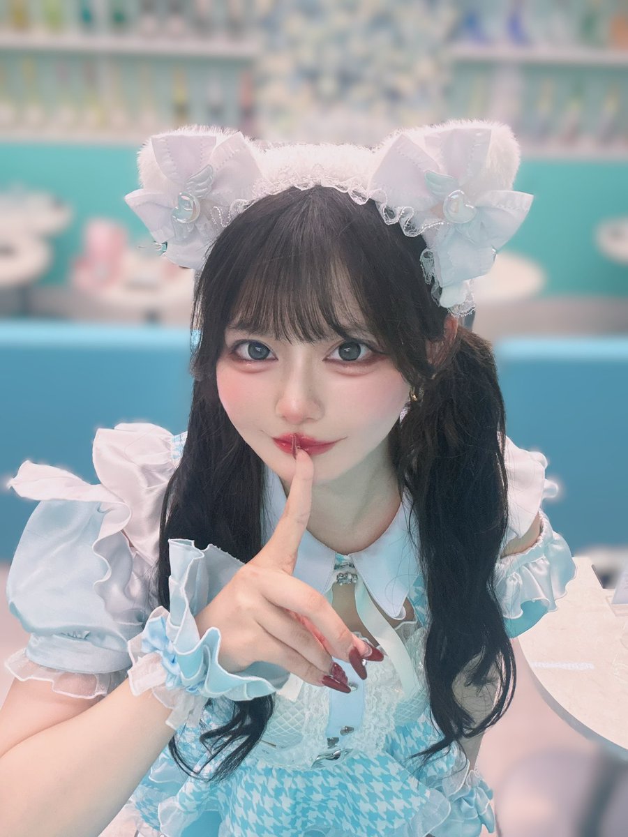 うに@みけねこカフェ秋葉原2nd tweet media
