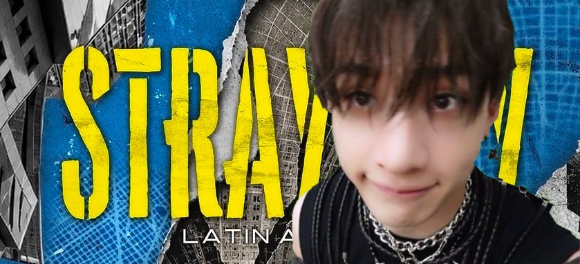 Straycity tweet media
