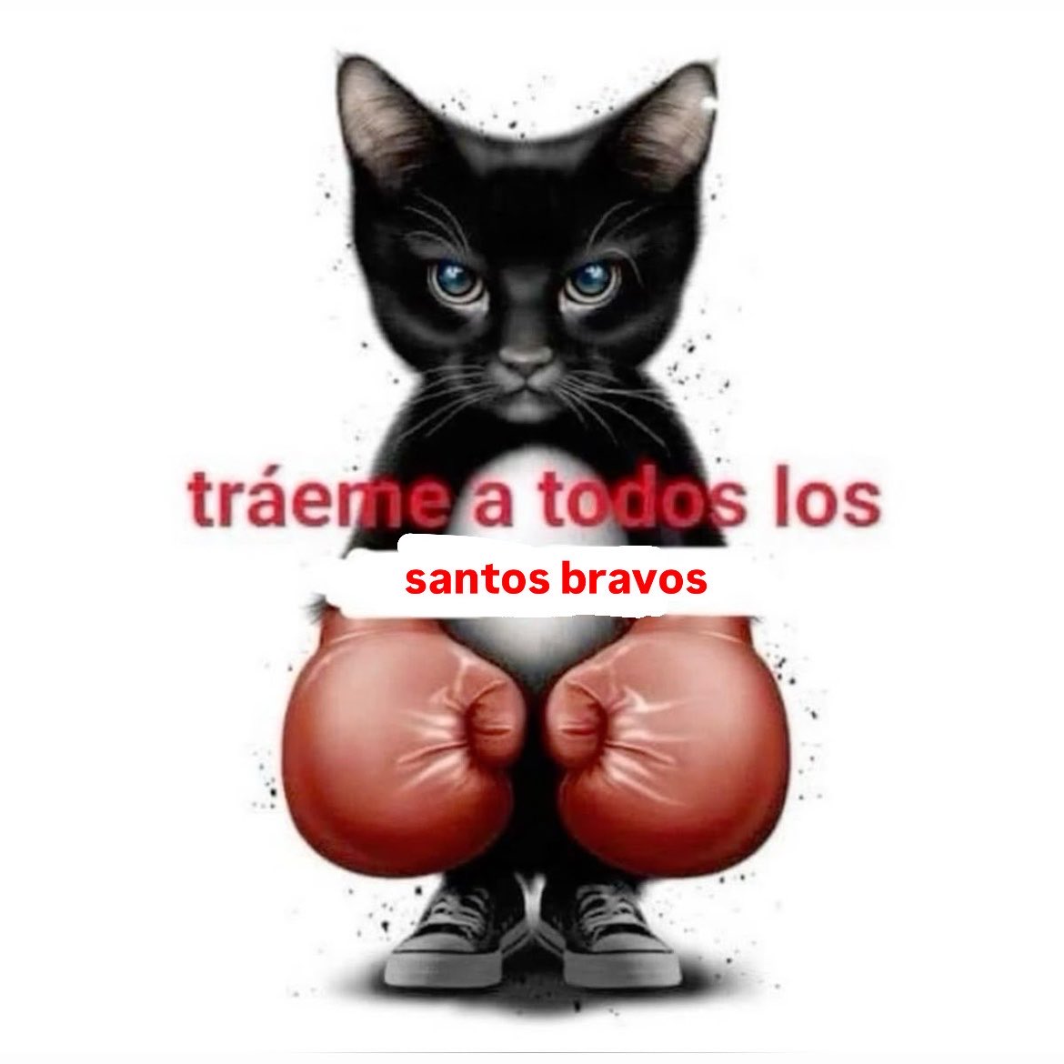 saritamisu's tweet photo. alejandro presentó pringao, kauê cantando human nature y suave ot5.. ya estuvo https://t.co/rsiX4cKaNl