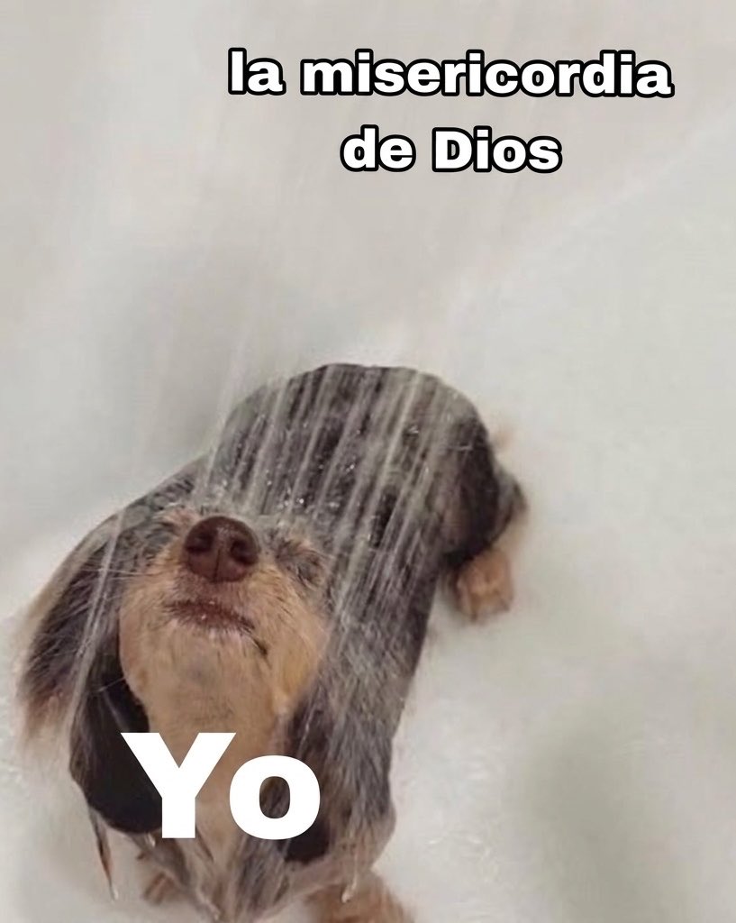 llamados a la santidad ❤️🔥 tweet media