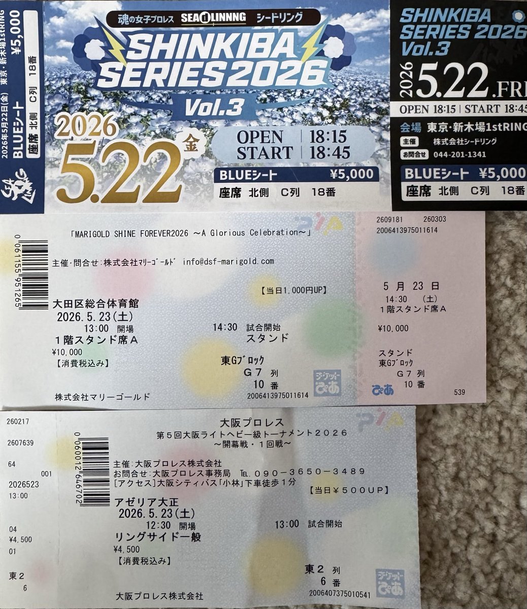 チケット Sa INDEPENDENT:5SS 大阪 1日通し券 2026/07/16(木)～2026/07/20(月