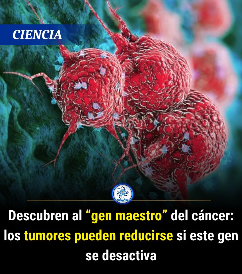 EnsedeCiencia's tweet photo. https://t.co/uFaBCQzpo4