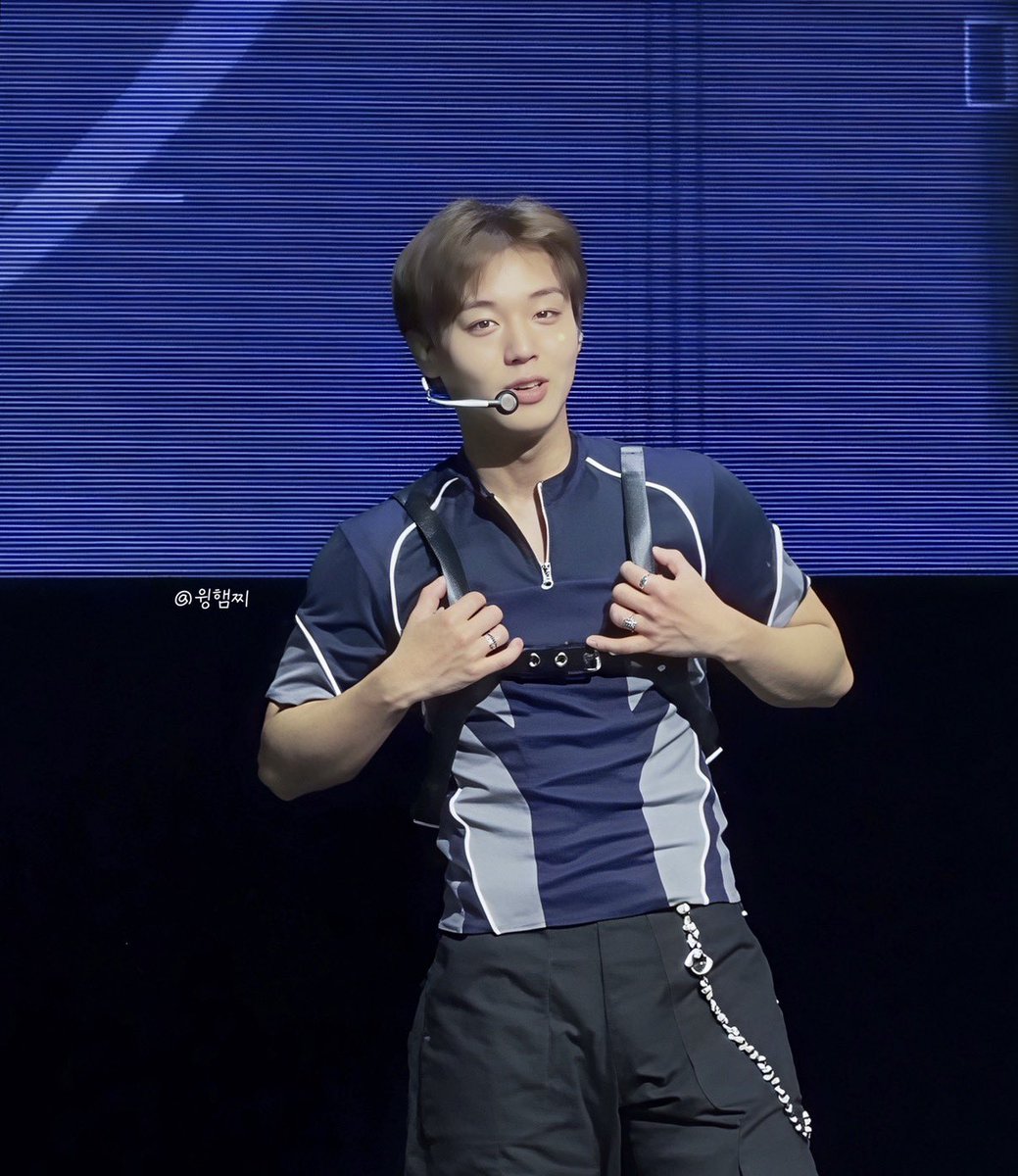 윙햄찌 tweet media